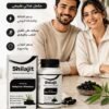 Shilajit – Équilibre & Vitalité de l’Organisme
